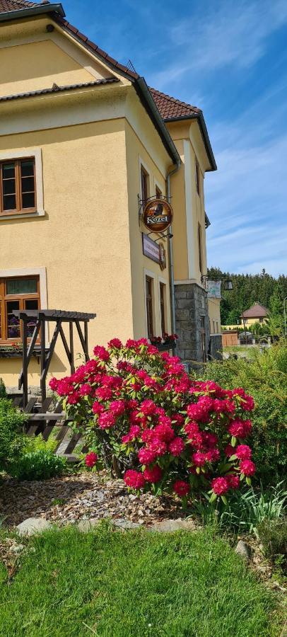 Pension Pod Lipou Loučovice Exterior foto