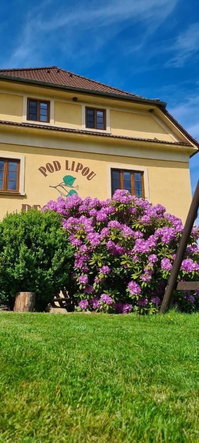 Pension Pod Lipou Loučovice Exterior foto